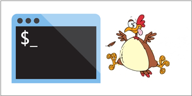 How to Find Your IP Address using IP Chicken Website