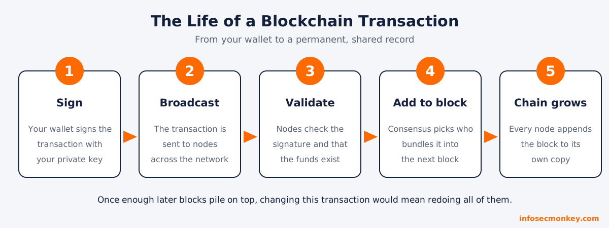 Five-step blockchain transaction lifecycle: sign, broadcast, validate, add to block, chain grows