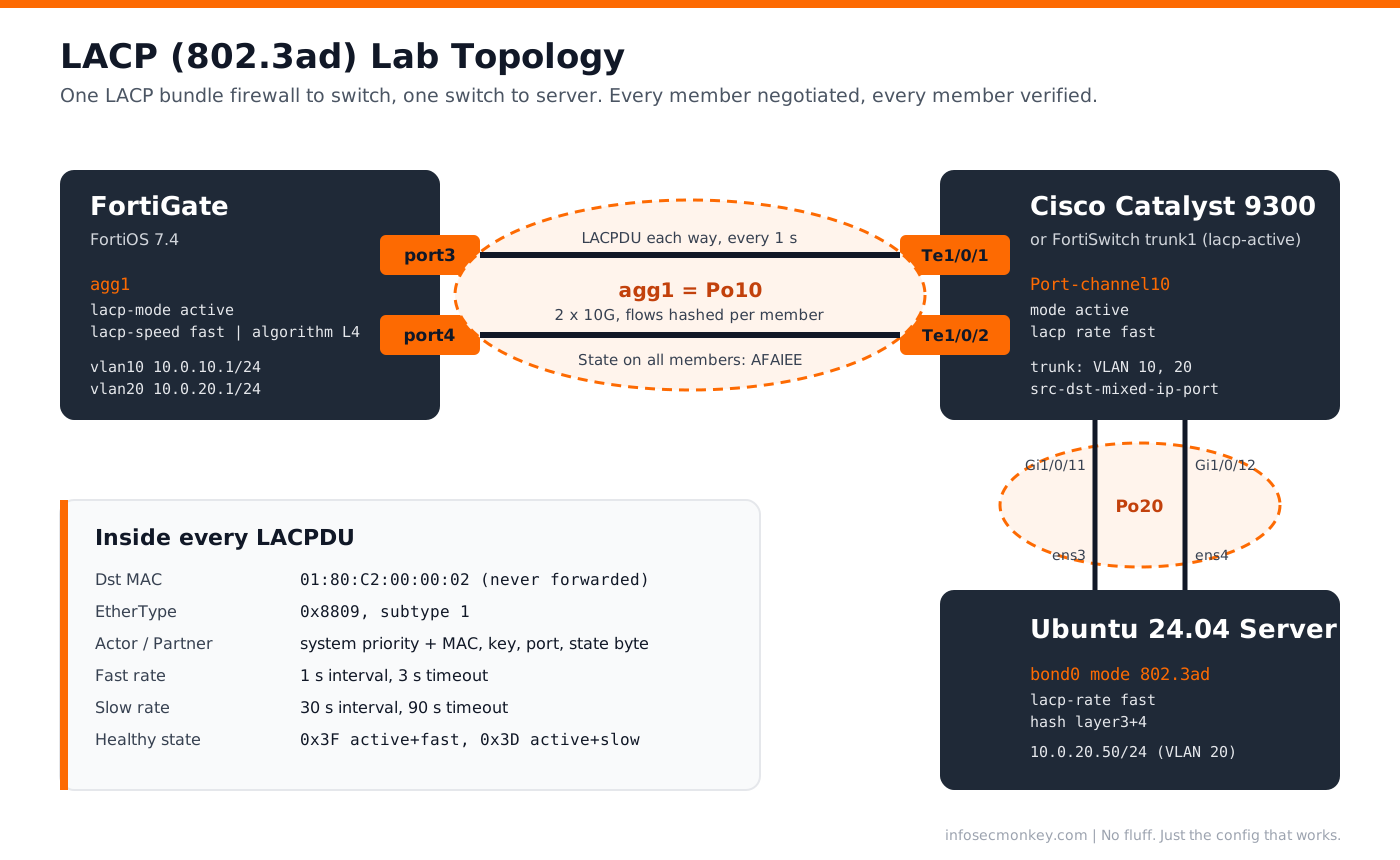 LACP link aggregation lab topology: FortiGate agg1 to Cisco Port-channel10, Linux bond0 server, and LACPDU field summary
